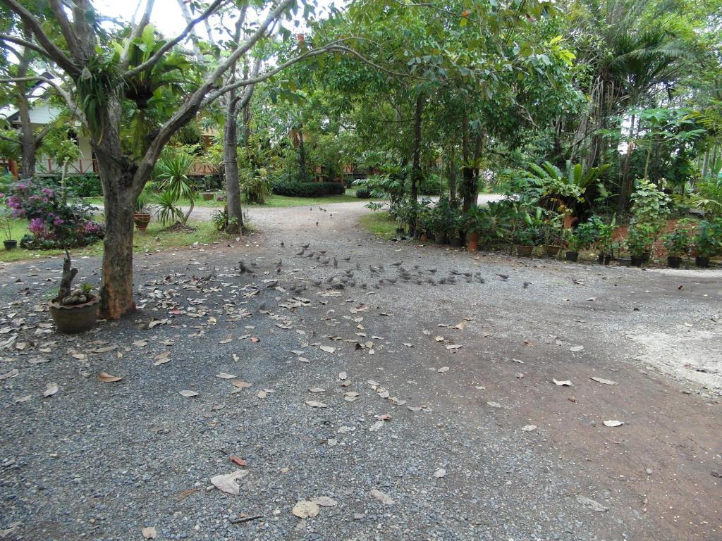 Baan Tai Rom Yen Resort Surat Thani Buitenkant foto